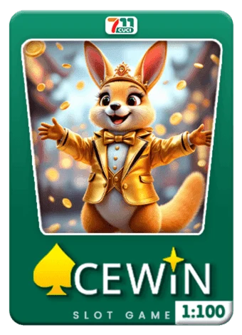 ACEWiN
