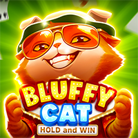 Bluffy Cat BNG