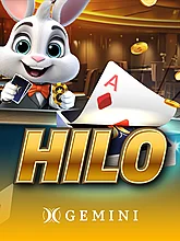 Hilo Gemini