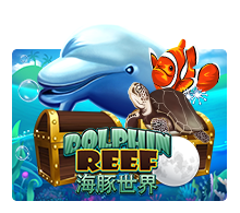 Dolphin Reef Monkey888