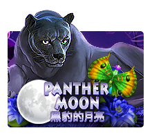 Panther Moon Monkey888