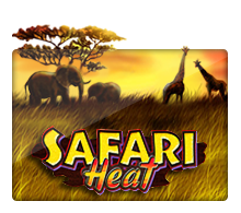 Safari Heat Monkey888