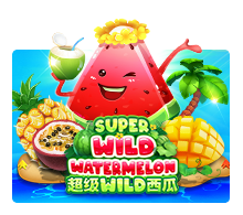Super Wild Watermelon Monkey888