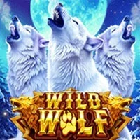 Wild Wolf Xtreme Spadegaming