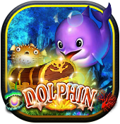 Dolphin 2 3WIN8