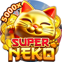 Super Neko YGR